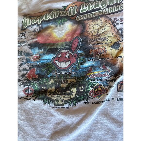 Vintage 04 Grapefruit League MLB Spring Training Florida XL Lee Sport White Tee - Picture 3 of 6